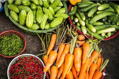 2020關(guān)鍵年 探索他國(guó)生態(tài)循環(huán)農(nóng)業(yè)模式，深化食用農(nóng)產(chǎn)品初加工發(fā)展