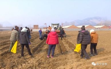 種地也能發(fā)財(cái)！撫寧人靠食用農(nóng)產(chǎn)品初加工走穩(wěn)致富路